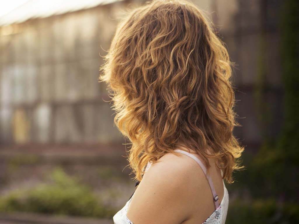 Integer faucibus hendrerit massa